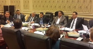 اللجنة الخارجية بالبرلمان تستحدث وحدة إدارة أزمات للرد على الخارج