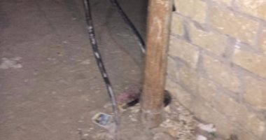مصرع طفلين صعقا بالكهرباء فى قرية عامر بالسويس