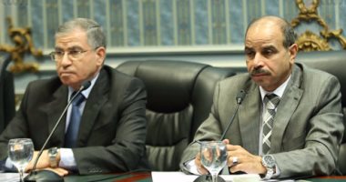 بالصور.. وزير التموين خلال اجتماع لجنة الزراعة بالبرلمان: ننظم استلام القمح من الآن