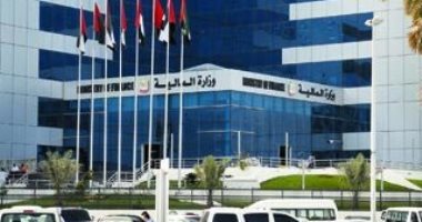 المالية الإماراتية: لا نية لفرض ضرائب على دخل الأفراد