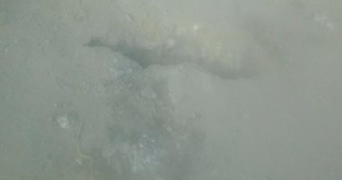بالصور.. فتحات بكوبرى محلة ميسر بمحافظة الغربية