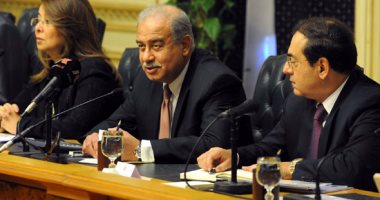 دعوى لإلغاء قرار رئيس الوزراء بإعفاء الدواجن المجمدة المستوردة من الرسوم
