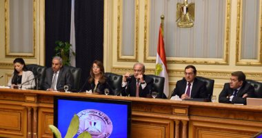 بالفيديو.. وزير المالية: الدين العام للبلاد وصل 100%.. والمعاشات زادت 4 أضعاف 