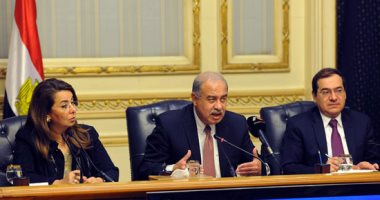بالفيديو.. الحكومة: رفع سعر توريد إردب القمح لـ450 جنيها.. وطن الذرة لـ2500 