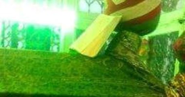 ياسين التهامى يحيى ليلة ميلاد "أحمد الفرغل" بأسيوط مساء اليوم
