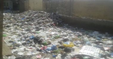 رئيس حى وسط القاهرة: إزالة 4 نخلات من المشهد الحسينى لخطورتها على المارة