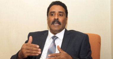 المسمارى: الجيش الليبى لا يعلم شيئا عن الغارات الجوية فى بلدة بنى وليد