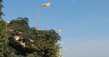 بالصور.. أعمدة الإنارة مضاءة نهارا فى الحى الأول بالتجمع الخامس