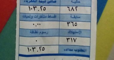 اعرف خطوات التأكد من صحة فاتورة الكهرباء قبل السداد