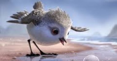 "Piper" فيلم إيجابى لترى الحياة بشكل مختلف