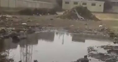 بالفيديو.. أولياء أمور تلاميذ مجمع مدارس بشبرا الخيمة يشكون من تردى الخدمات  