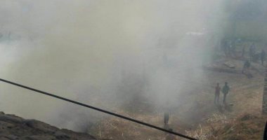 اعرف إجراءات محافظة أسيوط للتخلص من المخلفات الزراعية وعقوبة المخالفين