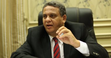 "خارجية النواب": مصر تنتهج سياسة متوازنة لحل المشكلات الدولية سلميا