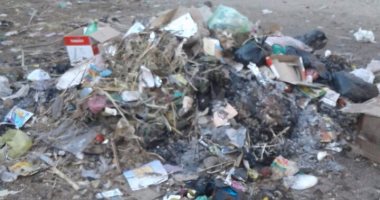 أهالى قرية بنى حسن بالشرقية يشكون من تراكم القمامة