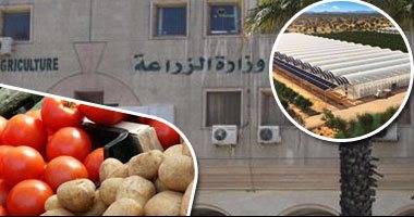 الزراعة: الموافقة على 1624 مشروعا للنفع العام منها 957 مدرسة بالمحافظات