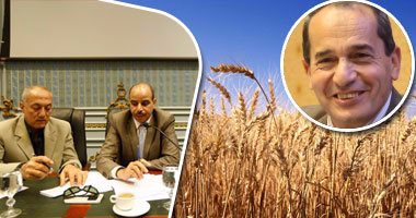"البرلمان ينتصر للفلاح".. لجنة الزراعة توصى بزيادة سعر توريد القمح لـ600 جنيه للإدرب.. مجدى ملك للوزير: "القرار خاص بيك ومتقوليش هرجع لرئيس الوزراء".. وعصام فايد يعترف: "أنا مقصر فى حق الفلاحين"