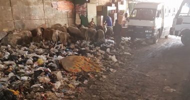 بالصور.. تراكم القمامة أسفل الطريق الدائرى بناهيا