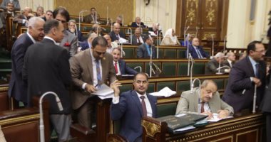 نائبة بلجنة التضامن: قانون الجمعيات الأهلية لا يتعارض مع مواد الدستور