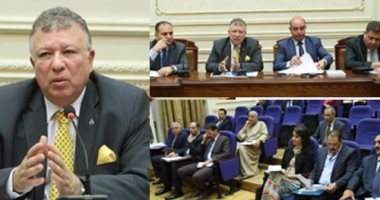 "اتصالات البرلمان" تفتح ملف بطء الإنترنت.. نائب: الأمر أصبح مهزلة.. "القومى لتنظيم الاتصالات": الظروف السياسية حالت دون تطوير البنية التحتيتة.. و"حماية المستهلك" يطالب بمحاسبة المواطن مقابل الخدمة