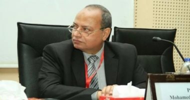 خبير سياسى: مصر بذلت جهودا مضينة للقضاء على ظاهرة الهجرة غير الشرعية