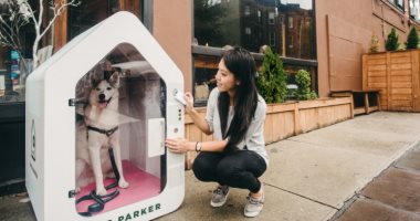 Dog Parker.. كشك ذكى جديد لانتظار للكلاب