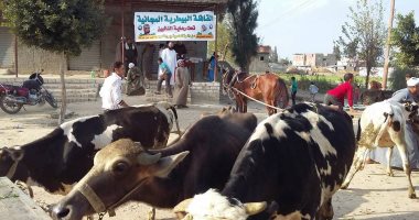 قوافل بيطرية وعلاجية تجوب 13 قرية بالمنيا