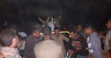 بالصور.. أهالى طنط الجزيرة بالقليوبية يحتجزون شخصين لقيامهما بذبح الحمير