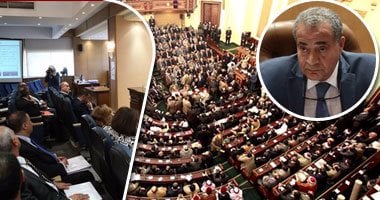 "تحويل شركات قطاع الأعمال من خاسرة لرابحة".. نواب: عددها تجاوز الـ 50.. مصيلحى: اجتماع مع الوزير الأسبوع المقبل لبحث خطة الإصلاح.. وكيل اللجنة:الخسائر بالمليارات.. نائب:يجب طرح أسهمها بالبورصة