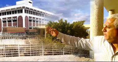 جامعة العريش تنعى شهداء مسجد الروضة بشمال سيناء