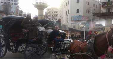 كيف دعمت تنشيط السياحة أصحاب الحناطير والخيول بالأقصر وأسوان؟.. اعرف التفاصيل