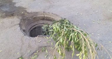 بالصور.. أهالى مدينة السادات يغطون بالوعات الصرف المكشوفة بالأشجار