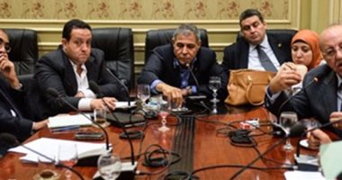 وفد برلمانى يتوجه الأربعاء المقبل إلى أسوان للاستماع لمشاكل أهالى النوبة