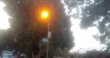 قارئ يشكو إنارة أعمدة الإضاءة نهاراً فى عزبة أبو إسماعيل بالجيزة