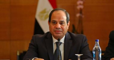 السفير المصرى فى توجو يسلم رئيسها رسالة خطية من السيسى
