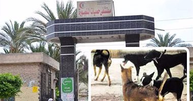 استقبال 8 حالات لأطفال مصابين بعقر كلب ضال بحميات المنصورة
