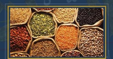 استخبارات بريطانيا تحذر من الارتفاع العالمى بأسعار الحبوب بسبب حرب أوكرانيا