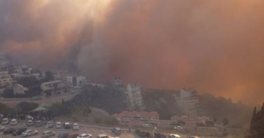 بالصور.. إسرائيل تراقب "فيس بوك" للبحث عن مشعلى الحرائق و"الشامتين"