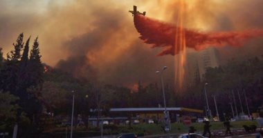 راديو إسرائيل : تراجع حدة الحرائق فى جميع انحاء مدينة حيفا