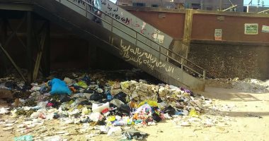 بالصور.. القمامة تحاصر أهالى عزبة النخل