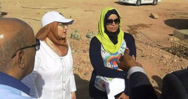 لجنة مجلس الوزراء تتفقد محطات الصرف وكوبرى كلابشة العلوى بأسوان