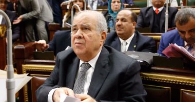 العجاتى: لست راضياً عن أداء الهيئة العامة للاستعلامات