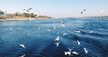 تايلاند تحظر التدخين وإلقاء النفايات فى شواطئ سياحية شهيرة