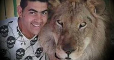 هجوم 3 أسود على مدربهم بقرية سياحية بالإسكندرية.. وإصابته بنهش فى الرأس