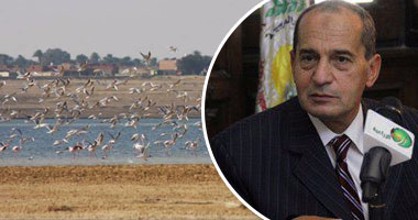 طوارئ بالزراعة للتعرف على إصابة طيور مهاجرة بفيروس H5N8.. سحب عينات من مزارع الدواجن.. وأستاذ فيروسات: يصعب تواجده بمصر..وأصاب دواجن إسرائيل لغياب التحصين الدورى