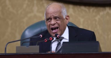 رئيس البرلمان يطالب ببوابات إلكترونية على  الكنائس.. والعجاتى: لا مانع