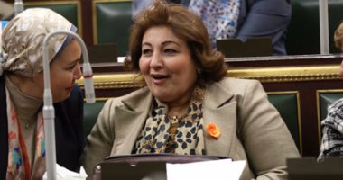 وكيل "حقوق الإنسان" بالبرلمان: بحاجة لقانون يجرم العنف الأسرى لنصرة المرأة