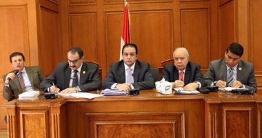 رئيس حقوق الإنسان بالبرلمان يطالب بإقالة سفير مصر بجنيف: دوره سلبى