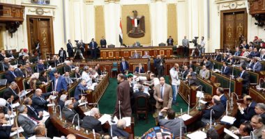 نائب بالبرلمان: تشكيل اللجنة الوطنية لحقوق الإنسان وعرضه على "الوزراء" قريبًا