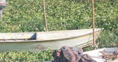 مسئول بـ"الثروة السمكية": بحيرة المنزلة ستنتج 120 ألف طن من السمك سنويًا