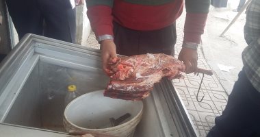 ضبط 19 طن لحوم ودواجن فاسده بالجيزة